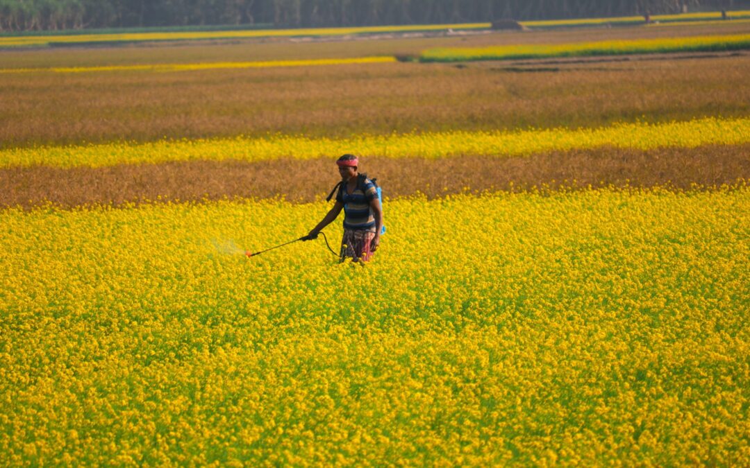Reducing Our Toxic Burden: Focus on Glyphosate