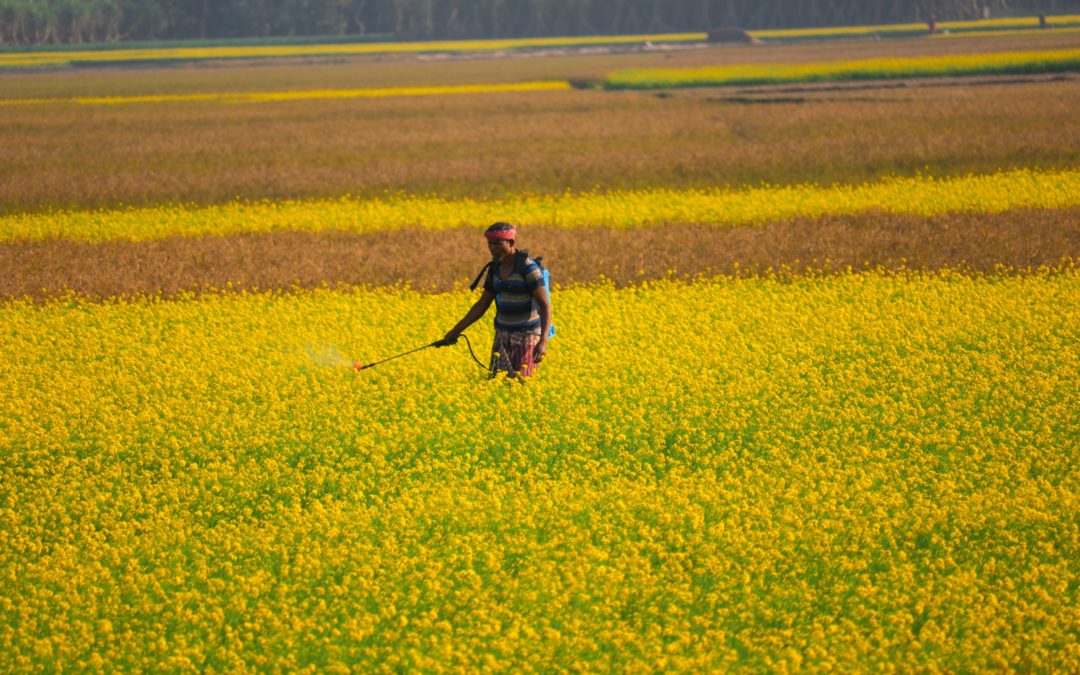 Reducing Our Toxic Burden: Focus on Glyphosate