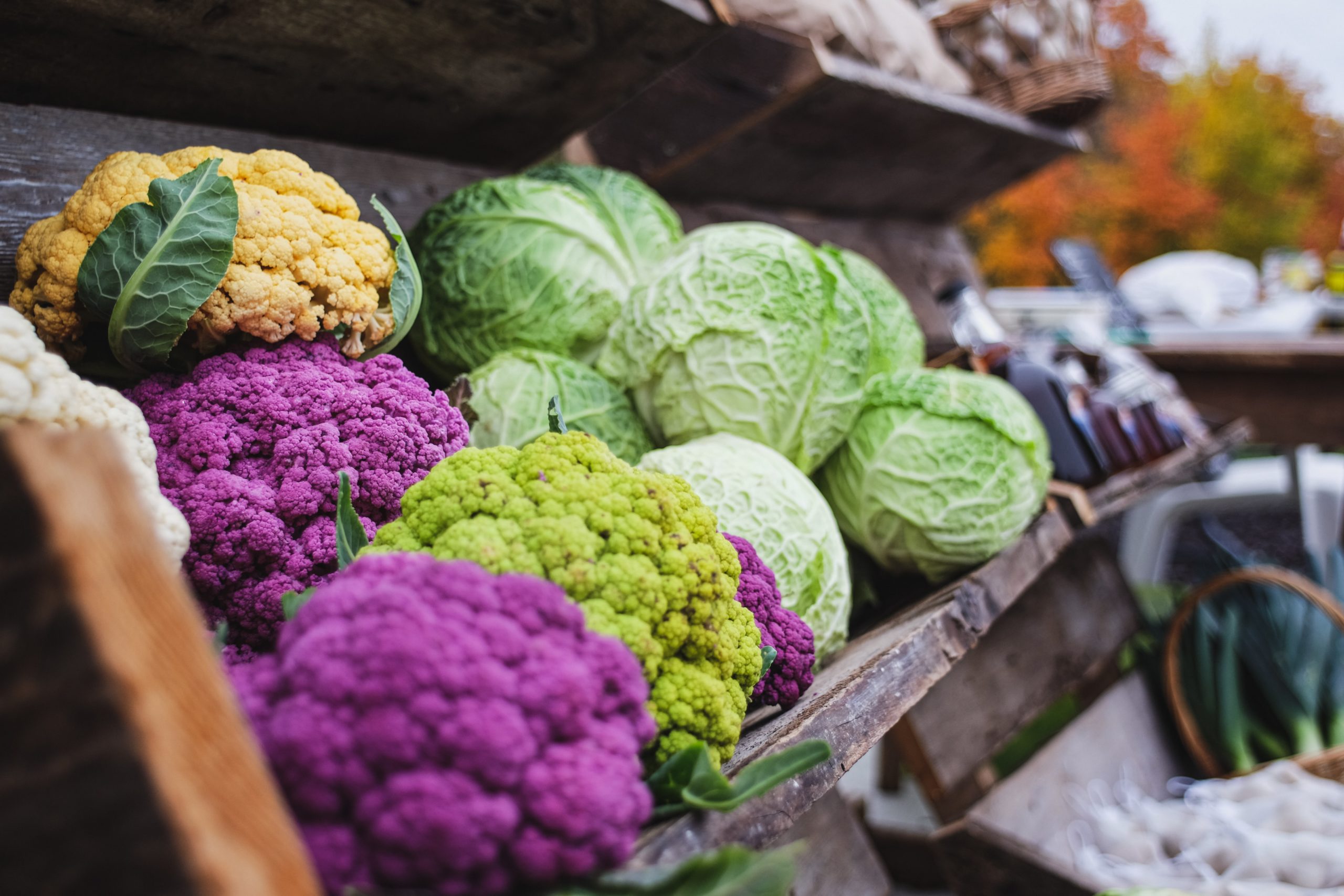 integrative-oncology-nutrition-food-example An example of possible food for integrative oncology nutrition: vegetables.
