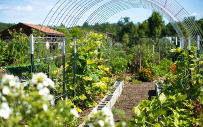 Why Everyone’s Talking About Metabolic Health?